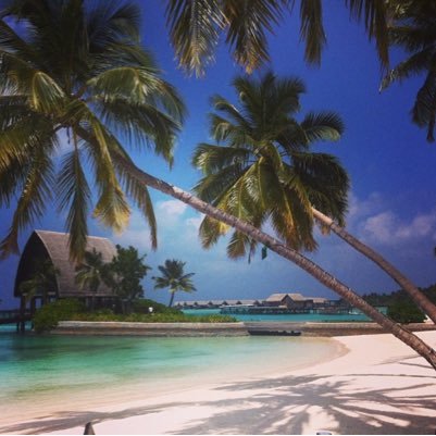 HindBraikan's profile picture. 