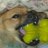 mijomojo1's avatar