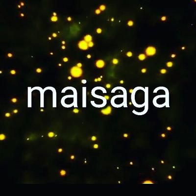 maisaga28 Profile Picture