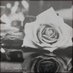 أم نُهى ♥ (@n0han25) Twitter profile photo أم نُهى ♥ (@n0han25) Twitter profile photo