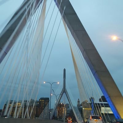 ardilladesnuda's profile picture. 