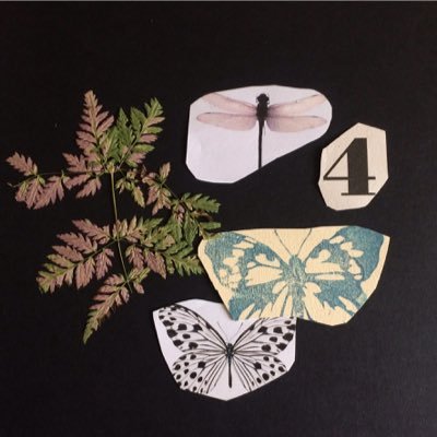 helenacomella's profile picture. 