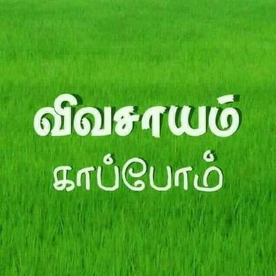 என் தேடலில் கிடைத்த மிகச் சிறந்த பொக்கிஷம் உன் நினைவு