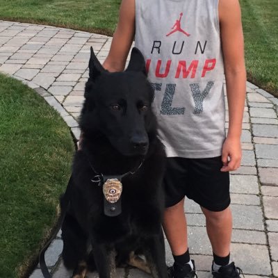 JAnzivio's profile picture. 