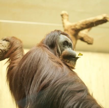 dcalBD9's profile picture. 