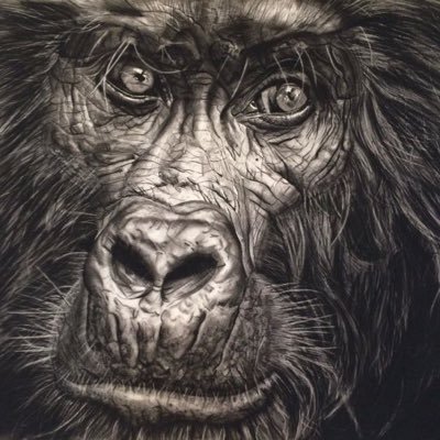 CapserGilder's profile picture. 