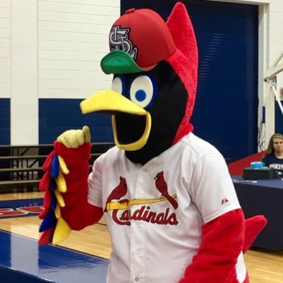 ⚾️New #STLCards polls daily! Follow for some Cardinals fun!⚾️