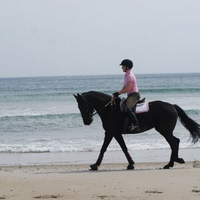 Kara Kirchherr (@karak70470) 's Twitter Profile