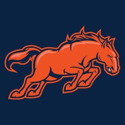 Visit Broncos Wire Profile