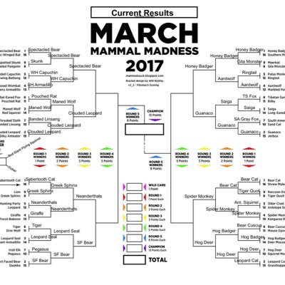 Huge fan of march mammal madness! Fan Page!!