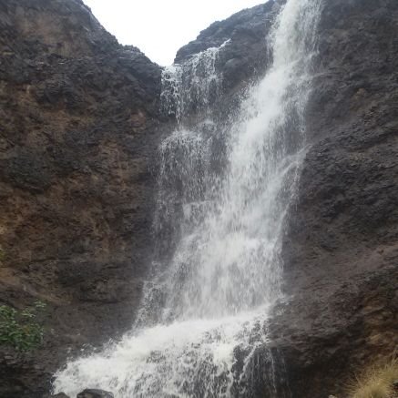 o44loTWrH6PkWAt's profile picture. ‏‏‏وطن لانحميه لا نستحق العيش فيه