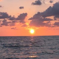 Janice Saba (@lpecounselor) 's Twitter Profile Photo Janice Saba (@lpecounselor) 's Twitter Profile Photo