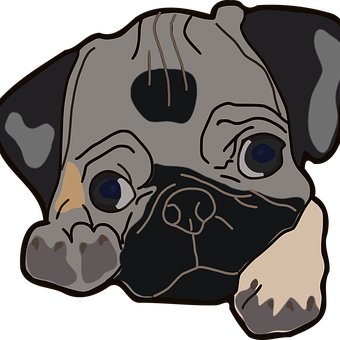 Pug Mummy and Website Founder