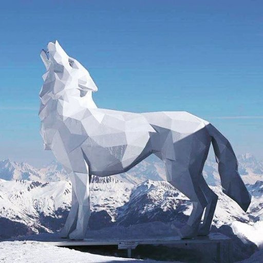 xcache's profile picture. 