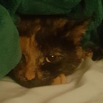 ncanton1289's profile picture. Natural Blonde