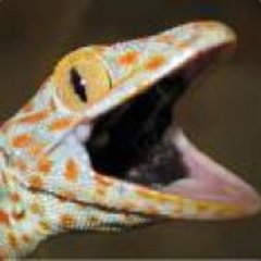 Nathanさんのプロフィール画像