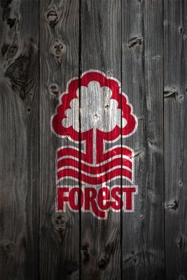 Then, Now, Forever Forest...... pillar of the community,  🙏church going individual?🙏