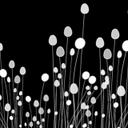 jason center - @JJcat - Twitter