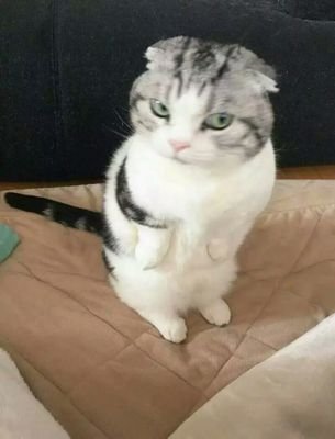 shuijiaojunさんのプロフィール画像