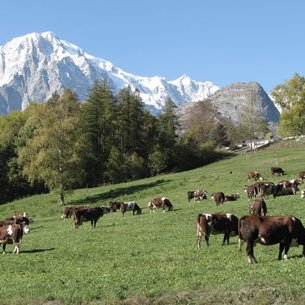 Compte officiel Assessorat Agriculture Ressources Naturelles Région Autonome Vallée d'Aoste - Account Assessorato Agricoltura Risorse Naturali Valle D'Aosta