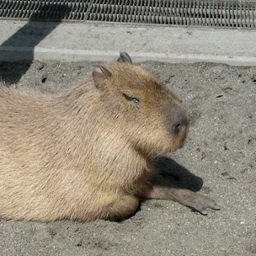 kjsmsgr's profile picture. 会社員です。釣りが好きだけど年に数回。 iPhoneから書き込んでいます。