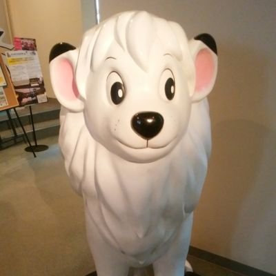 ぴざさんのプロフィール画像