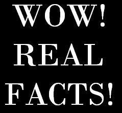 WOW! Real Facts! is Twitters latest and greatest resource for the fun facts that you crave to know and share all day everyday!