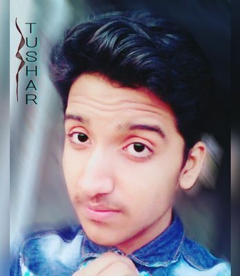 Entertainment Channels Entertainment Channels Bollywood and Celebrities Bollywood and Celebrities Bollywood and Celebrities