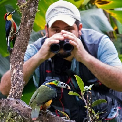 Birding Guide at NE Brazil Birding