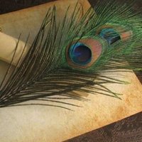 زورده (@vw9kjtu4epckc7g) Twitter profile photo