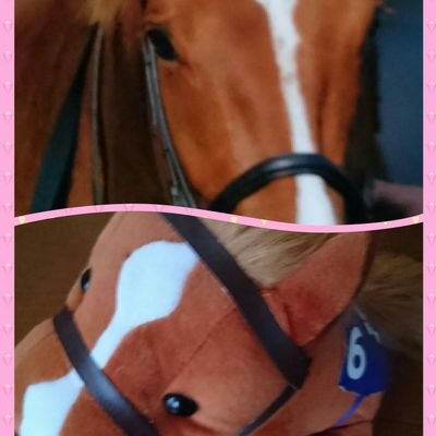 競馬、馬が好き♡牧場🐎巡りの旅♡2019年念願の一口馬主になれました(シルク)💛💚❤️2021年3月子宮体癌。手術、抗がん剤治療開始、癌サバイバーになりました😂姑、小姑と敷地内同居中にて愚痴も呟いてます🙇♀️