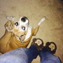 Aimee McDaniel - @angels2324 - Twitter