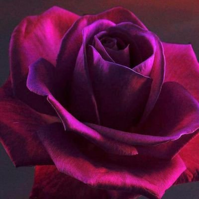 UbWePFdq3eEjhgJ's profile picture. اناشيد دينيا امبيسي الأخبار مسلسلات سورية الرياضات الموضة والأناقة الموضة موسيقى الأخبار