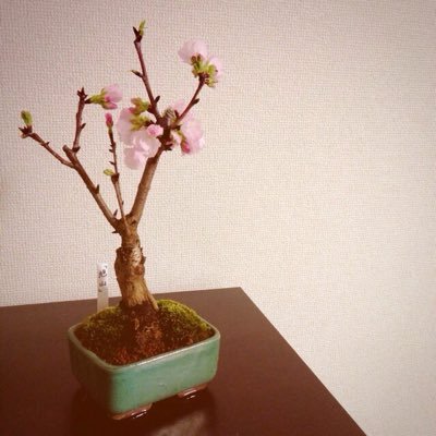 ブルーフレーム・コンサルティング(株)代表取締役。 Ideal Leaders(株)共同創業者。 経営コンサルタント。エグゼクティブコーチ。自己組織化による組織変革。変革のコア創り。ファシリテーター。 経営学・自然科学・心理学・哲学の融合と社会への実践&人と社会を大事にする企業つくりがライフワーク。