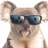 ata.🐨(@_FatVet) 's Twitter Profile Photo