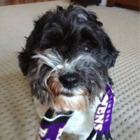 amora (@avmorales) 's Twitter Profile Photo