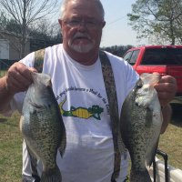 Greg May (@2f965059f47c462) 's Twitter Profile