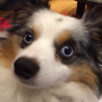 jahh6420's profile picture. 