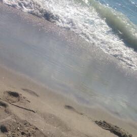 Nina9067's profile picture. 