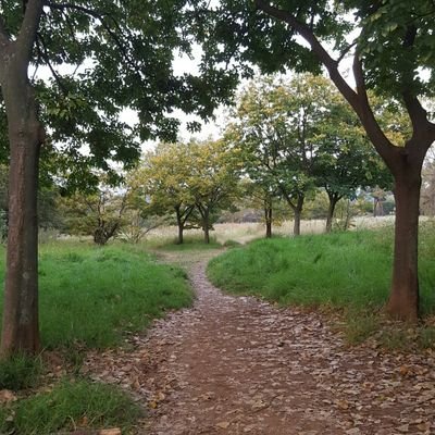 malevris's profile picture. 