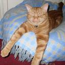 patrick killen - @patrickthecat - Twitter