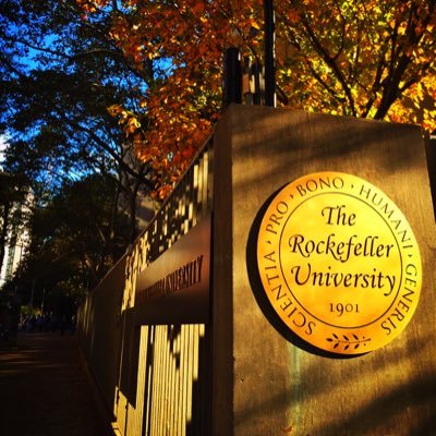 NatSelections's profile picture. A Rockefeller University community newsletter