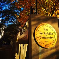 NaturalSelections (@natselections) 's Twitter Profile