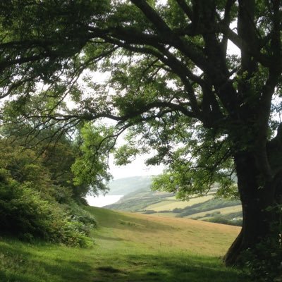 JLJOM66's profile picture. 