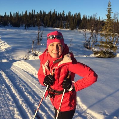Christine H Moseid Profile
