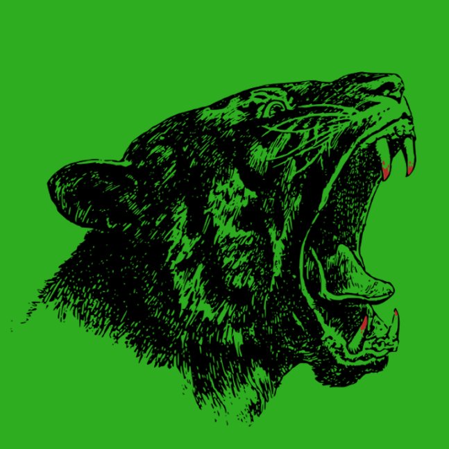 Applied research and consulting firm. Designing and implementing measurable, provable solutions. Don't test your defenses by waiting to get attacked. Go Savage!