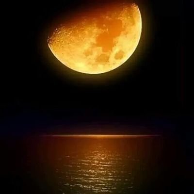 tony_garya's profile picture. 
