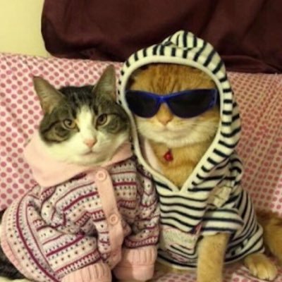 astor_ryan's profile picture. 