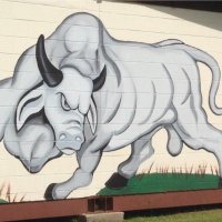 Okeechobee HS (@okeechobeehs) Twitter profile photo