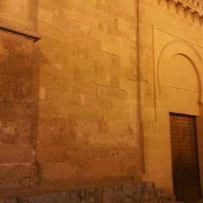 mikkkel9's profile picture. 